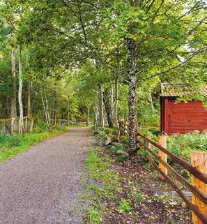 Linnés Sävja det lantliga lugnet för en stressad själ Carl von Linné köpte två lantegendomar år 758, Hammarby och Sävja.