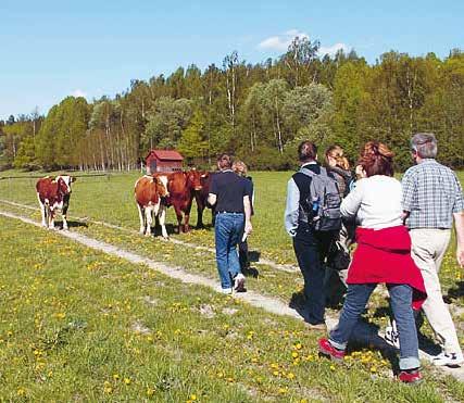 Lek Linnés lärjunge för en dag välkommen att upptäcka Linnéstigarnas mysterier!