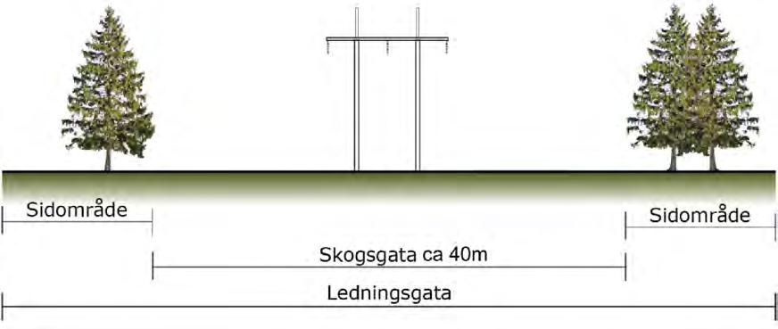 Omfattning - En 35-45 meter bred skogfri korridor, så kallad skogsgata, kommer att behöva upprättas och därmed avverkas, för att säkerställa att nedfallande träd inte kan falla över ledningen och