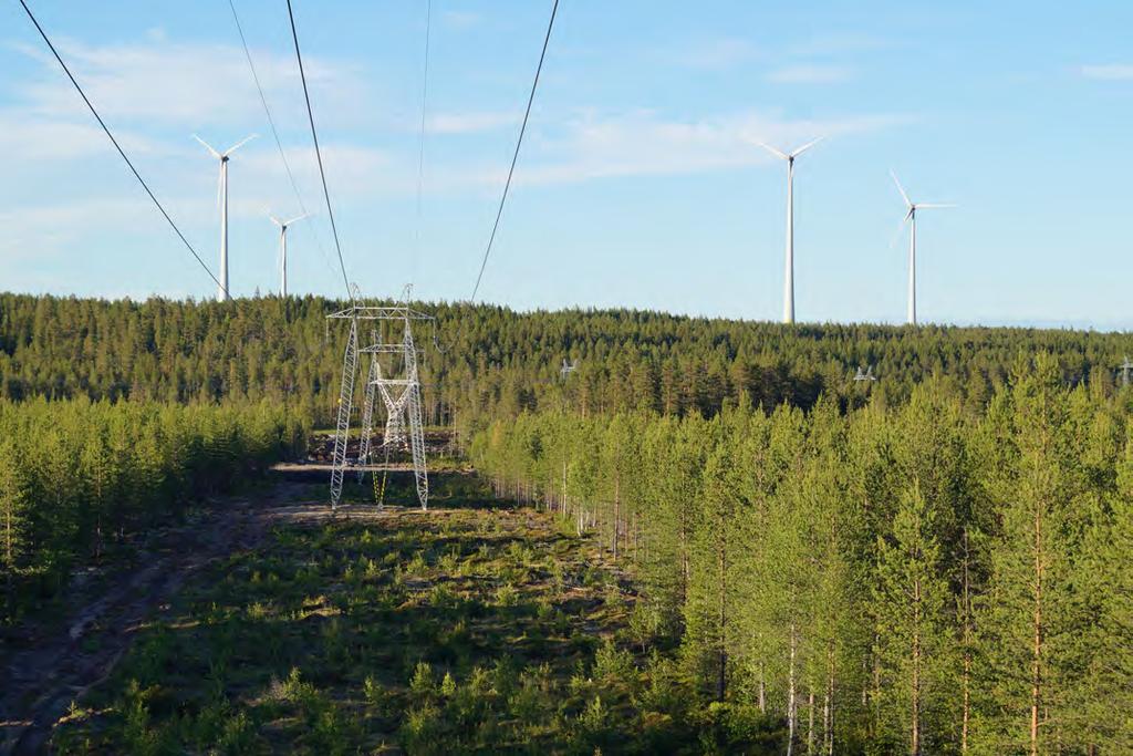 Betydande miljöeffekter som elledningen kan medföra - MKB-dokumentet kommer att redovisa de betydande miljöeffekter som den planerade ledningen bedöms medföra, antingen i sig själv eller till följd