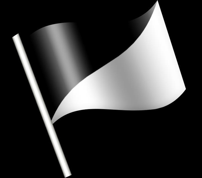 G 10.1 Svart och vit diagonalt delad flagga/ljussignalskylt/observationssignal Flaggan/ljussignalskylt visas orörlig tillsammans med den tävlandes nummer och innebär att den tävlande är under