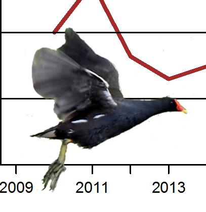 Figur 5. Beståndsindex för 8 fågelarter enligt nattrutterna 8. Beståndsnivån är satt till för.