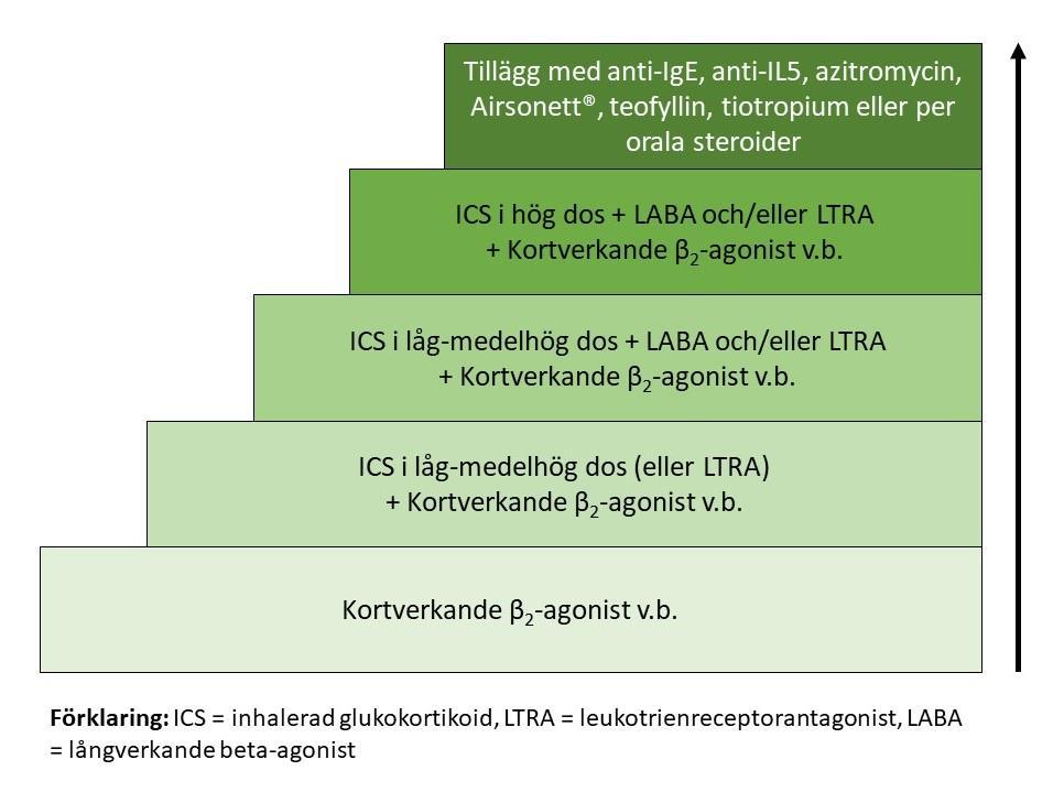 Astmabehandlingstrappa för barn från 6 år