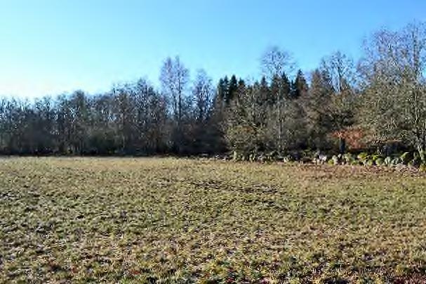 Övriga delar av marken domineras av yngre välskött barrskog. Jakt Jakträtten övergår på köparen på tillträdesdagen. I området finns bl.a. älg, rådjur och vildsvin.