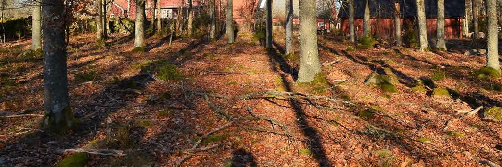 se Uppgifter kan även lämnas av Erik Holgersson, Fastighetsmäklare och Skogsingenjör