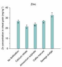 positiv effekt av organiska gödselmedel Tillförsel av olika gödselmedel (stallgödsel, slam, mineral-npk) Se and Cu: Kärnanalyser Ingen effekt