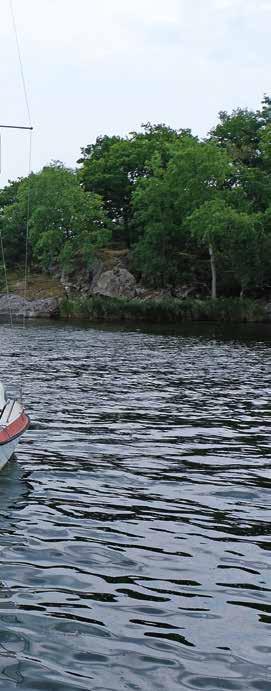 Blekinge Båtförbund har en lång tradition av ungdomsläger. Sommaren 2018 hölls lägret på Tjärö i Blekinge skärgård.