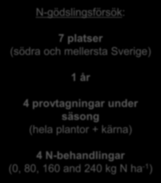 Effekt av N-gödsling på växtupptag Stråskjutning (DC37) Blomning (DC65) Kärna N-gödslingsförsök: 7 platser (södra och