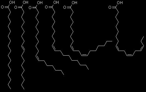 Skelettformler/streckformler av olika fettsyror (karboxylsyror) Fettsyror är stora molekyler som nästan bara innehåller kol- och väteatomer.