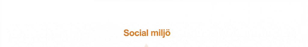 Social miljö Samspel