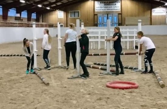 Vi har fortsatt vårt projekt med terminselever. Under 2018 har följande varit terminselever; Louise Svensson, Michaela Hansson, Charlotte Franck, Debora Tängmark, Moa Berg, Ida Larsen.