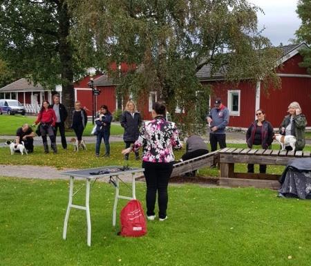 Man har också genomfört flera träffar med promenader, bl a i Varberg och Hemsjö.