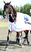 Joakim / Lopp Häst Looks Likeaq Alfas Heureka 8 ocky Egedal 8/ Lopp Häst Infinitus Mooney 8 Miss Marel 9 Uptothe hapel Johnny / Lopp Häst Aslan D.K.