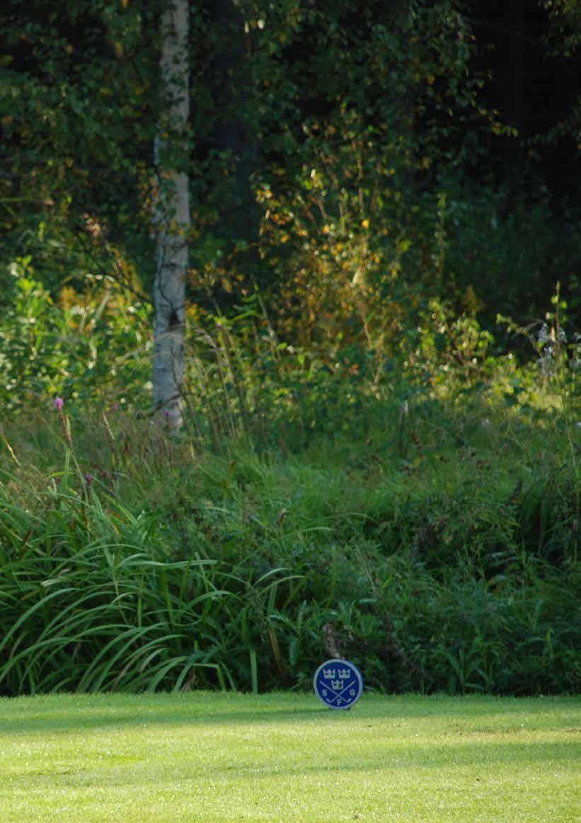 Golfteam STHLM Det är en grupp för 15-16 åringar, flickor och pojkar, som tävlar på JMI och Teen Tours högre nivåer. Golfteam STHLM är en helårsverksamhet med huvudfokus under vinter och vårperioden.