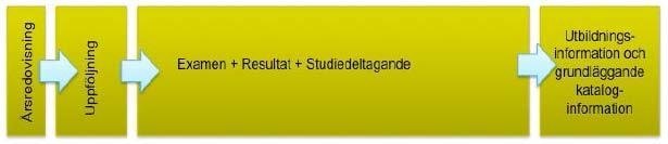 Det införs individuella studieplaner på grund- och avancerad nivå. Dessa planer kan t.ex.