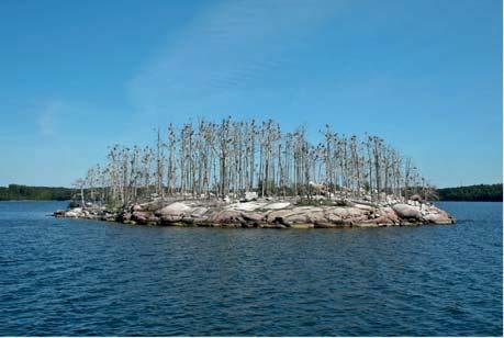 Statistisk årsbok 2010 Flest havsöar i Stockholm 98 400 av de 221 800 öarna omges av hav. Flest havsöar finns i Stockholms län, 29 000 stycken.