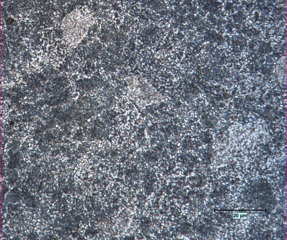 Stålsort 803P. Struktur efter 30 minuters kylning ned till 660 C. 1000x förstoring. 5.3.2.