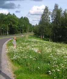 Växtetablering utförs i första hand med avbaningsmassor från platsen, sådd eller skogsplantering av naturliga skogsarter, figur 4.17-4.18.