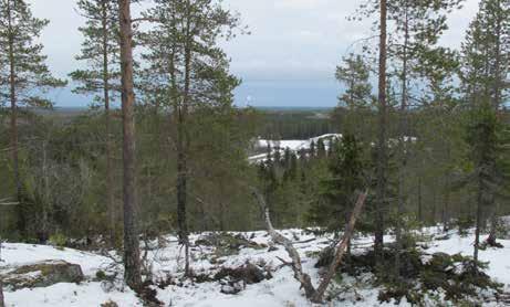 I 20-området genomkorsas av flera vägar, Tavelsjöleden samt motionsspår som nyttjas av boende främst i stadsdelarna Haga, Sandbacka, Ersboda och Ersmark.