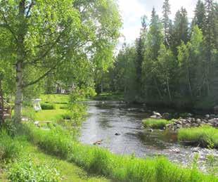 Skogen utgörs av homogen, lättillgänglig blåbärsgranskog/tallskog med inslag av berg i dagen. Genom skogsområdet löper motionsspår och stigar.