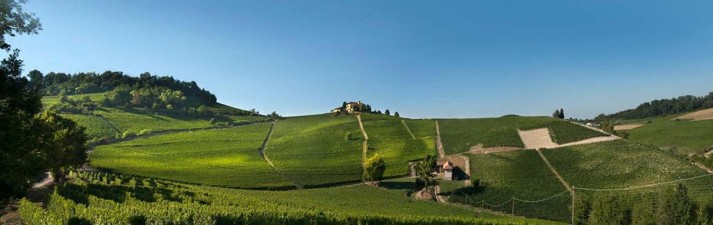 Välkommen att uppleva vindistriktet Barolo i Piemonte, norra Italien. Barolo är sedan 1980 klassificerat som DOCG och åtnjuter den kanske högsta prestigen bland kännare av Italiens viner.
