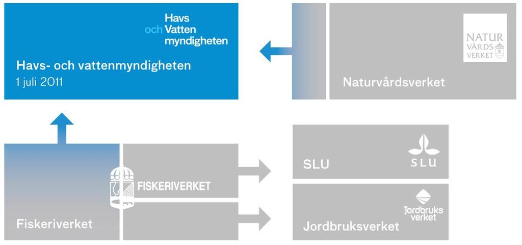 Startade 1 juli