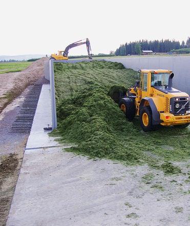 3 och 4 meter ger ett ekonomiskt utbyte på över 50% färdigt foder.