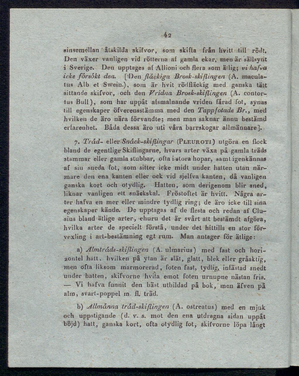 Vi 42 sinsemellan åtskilda skifvor, som skifta från Ii vi tt till rödt. Den växer vanligen vid rötterna af gamla ekar, men ar sällsynt i Sverige.