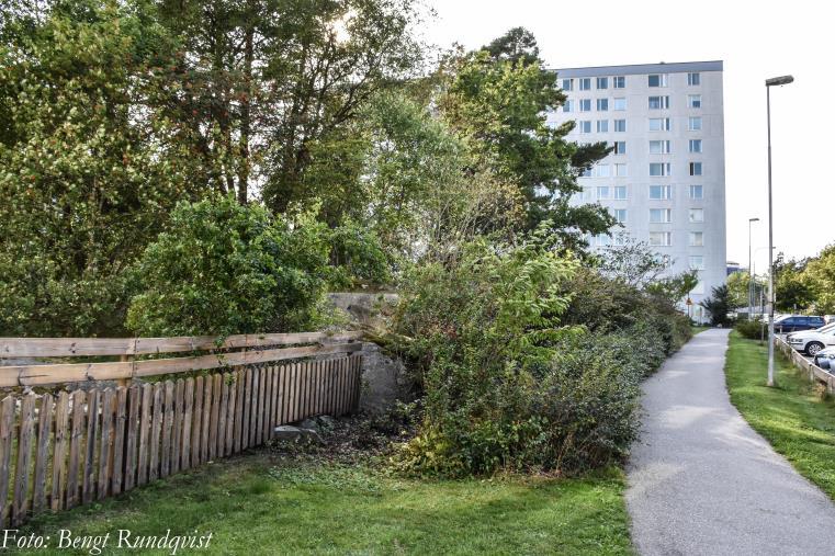 rumskaraktär. Mellan dessa syrengrupper anläggs en enkel pergola där en sittgrupp kan placeras.