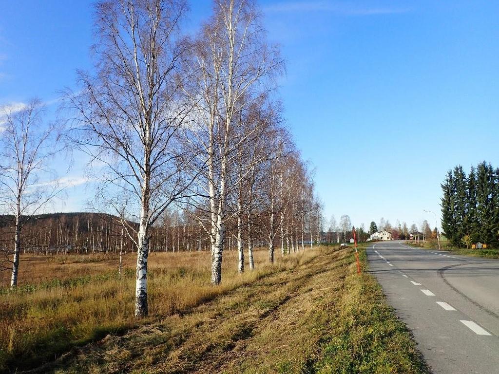 Naturmiljö Generellt biotopskydd