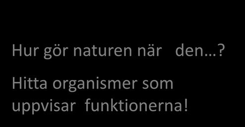 familjer med barnvagn, människor med olika funktionsnedsättning, unga och äldre. Följande funktioner skall uppfyllas: Hur gör naturen när den?