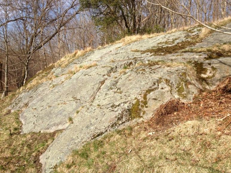 Berg i dagen finns främst i områdets norra, östra samt södra del.