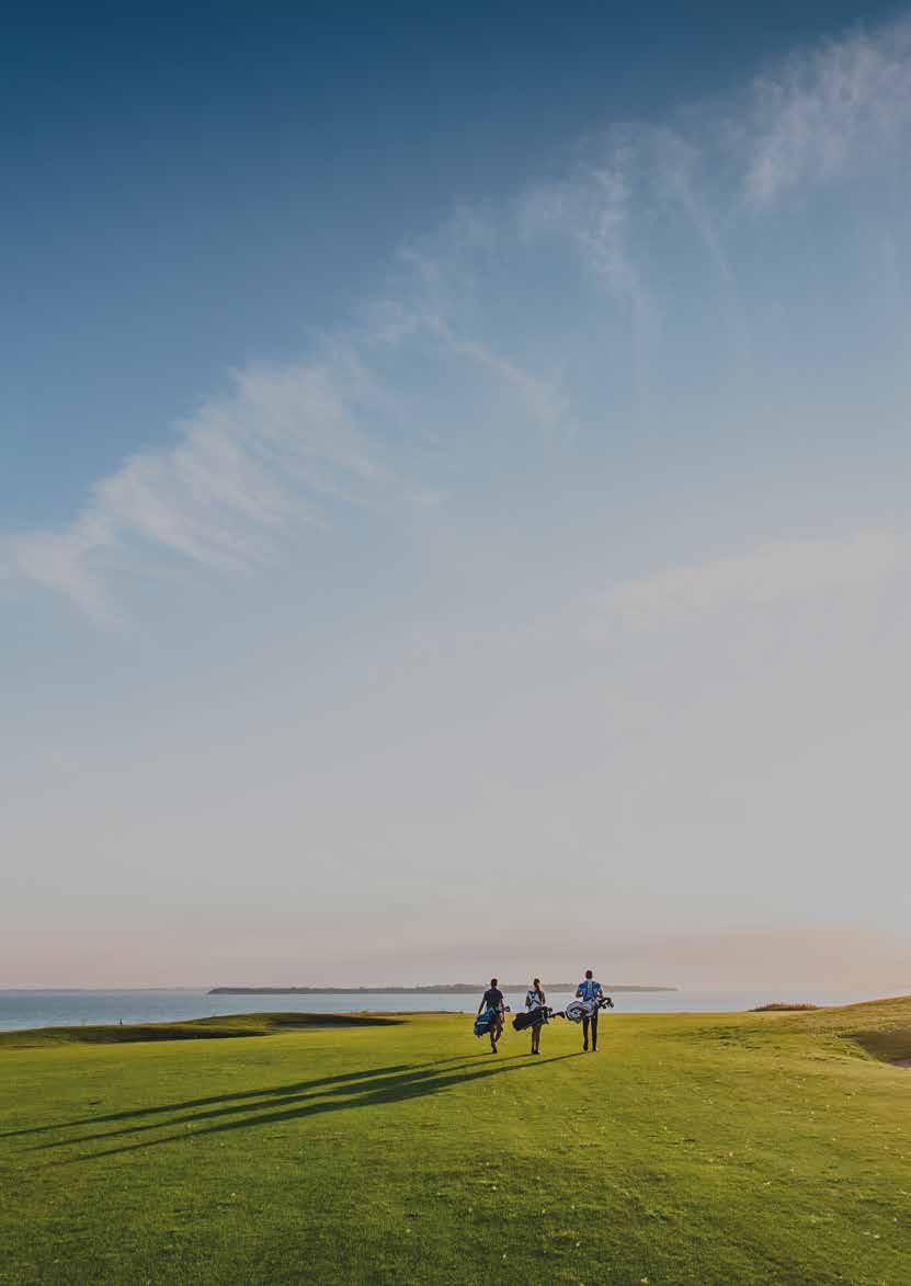Golf, boende & mat Allt inom 50 meter Ta fram golfklubborna och ge dig ut på banorna kring Borstahusen. Välj mellan vacker utsikt över Öresund och Ven, eller i skön skogsmiljö.
