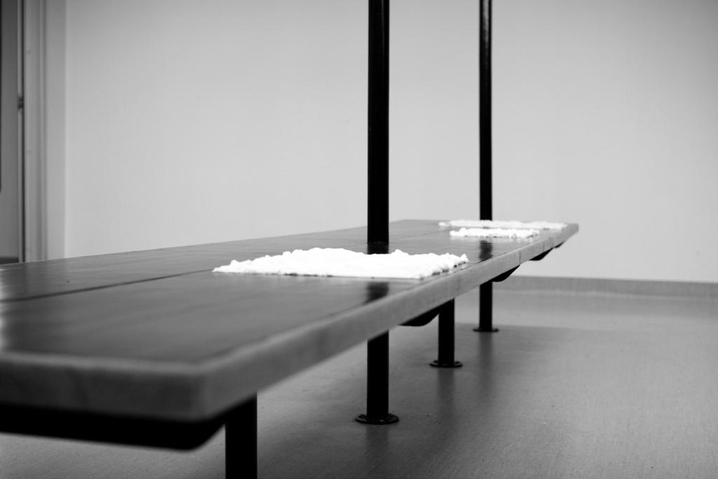 I utställningen Freikörperkultur (Frikroppskultur) tar flera av Sjöbergs verk upp tankar och idéer om nakenhet, utifrån ett metaforiskt, filosofiskt och poetiskt perspektiv.