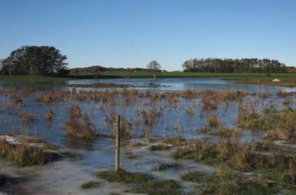 Etapp 3 - Slutrapport Ofta överensstämmer svåravvattnade marker med historiska våtmarker, och dessa områden kan vara lämpliga för att nyanläggning eller restaurering.
