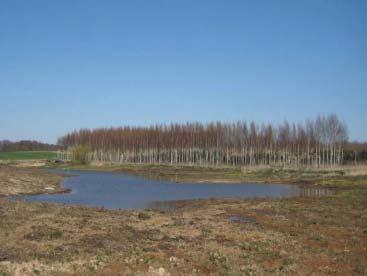 Svedala kommun Nr 103 Damm vid Svenstorp Fastighet: Svenstorp 1:1 Kommun: Svedala Dammyta: 0,7 ha Vattenvolym (max): 2 500 m3 Djup (max): 0,7 m Tillrinningsområde (ha): 15 Schaktmassor: 3 200 m3