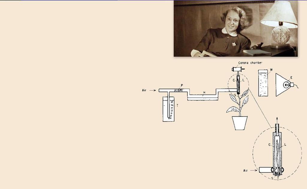 Biofysik 173 Genom, Birgit Nordbring, som senare skulle bli hans hustru, och som då var verksam vid växtfysiologiska institutionen i Lund, blev Hellmuth uppmärksammad på behovet av en snabb