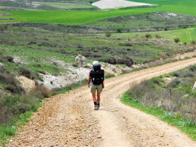 Camino Francés, Saint Jean Pied de Port Santiago de Compostela, 37 nätter 5(15) enstaka skogspartier som erbjuder lite skugga.