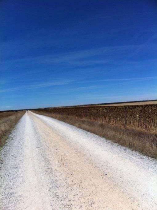 Camino Francés, Saint Jean Pied de Port Santiago de Compostela, 37 nätter 7(15) Sahagún hade sin storhetstid på 1600-talet då stadens kloster hade mer än 90 underlydande kloster spridda över hela