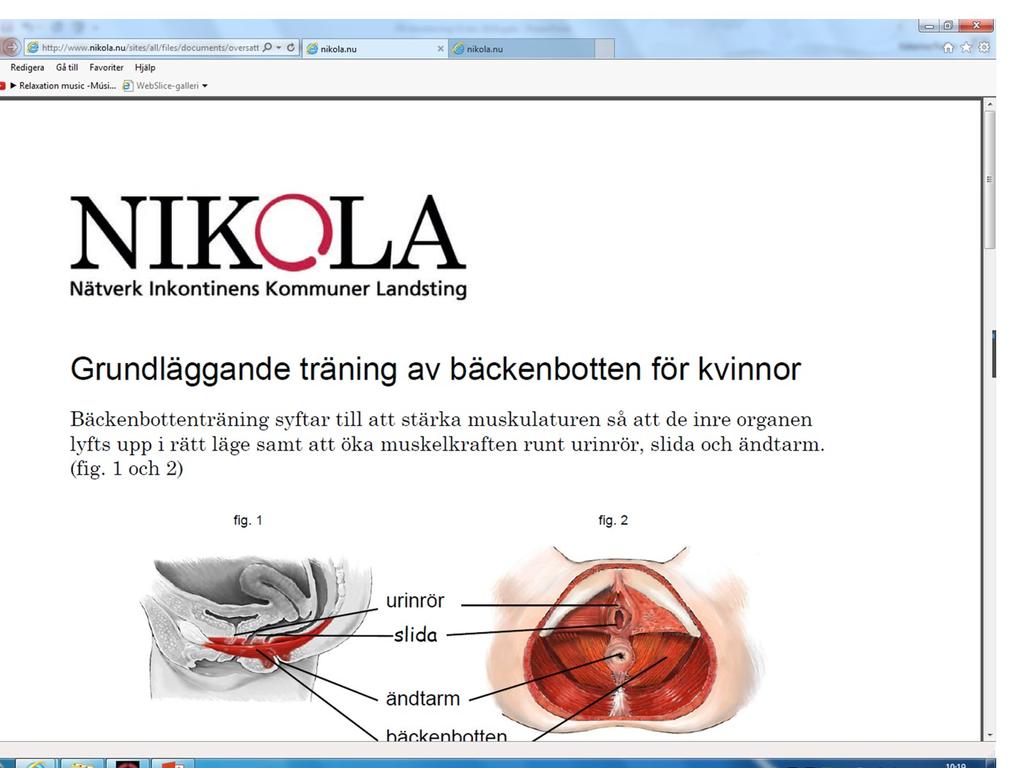 Bäckenbottenträning på olika språk www.nikola.