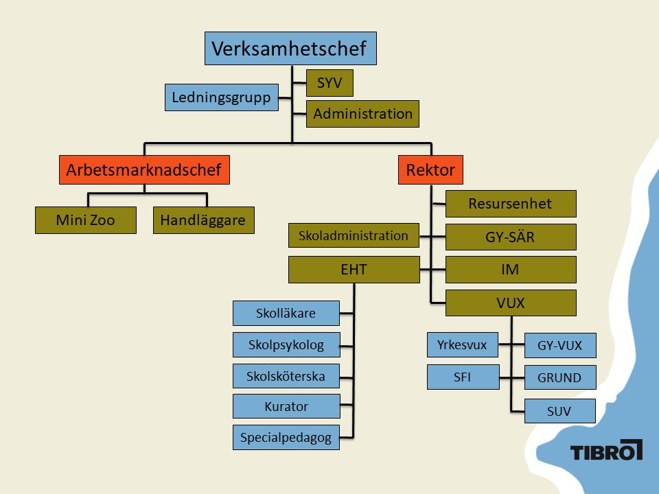 Sida 4 (11) 1.4 Organisation Kompetenscenters verksamhet leds av en verksamhetschef. Kompetenscenters ledningsgrupp består av verksamhetschef, rektor, arbetsmarknadschef och kommunikatör. 1.5 Ansvarsområden 1.