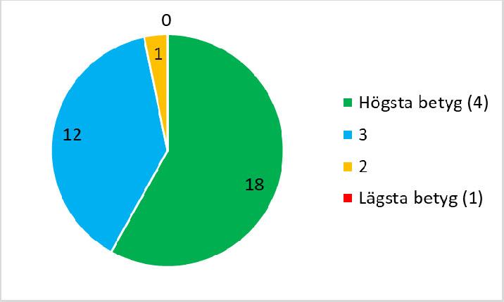 Vad anser du om dagen som helhet?