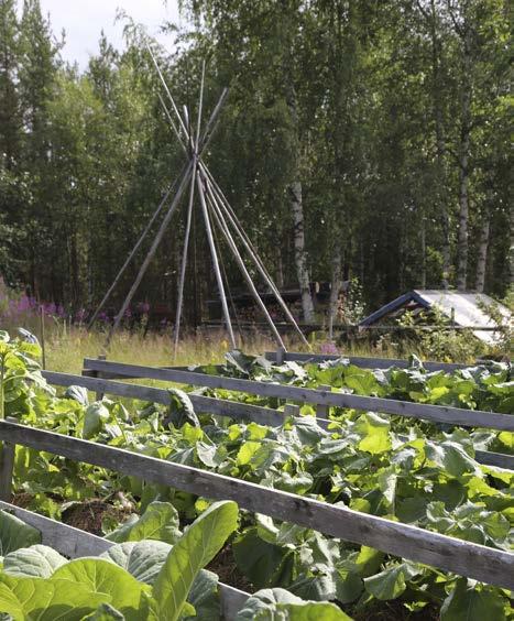 Bakom kållanden står en tältkåtaställning. Gun använder kåtan när hon har workshops i trumbygge.