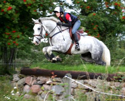 Hoppning, grenspecifika tillägg 33. DM för Kat B, C och D rids i 80-110 cm bedömning A1:b 34. DM för juniorer rids i 1.20 Bed. A:1a 35. DM för seniorer rids i 1,30 Bed. A:1a 36.