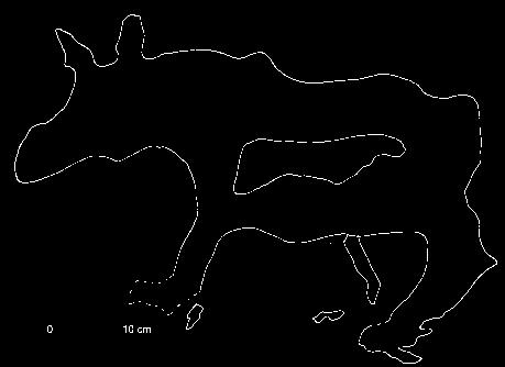 Ett resultat som framgick där var att det förelåg ett samband mellan frånviklade ben och konturtecknade älgar, dvs exakt det som förekommer på älgfigur nr 2 på Storberget.
