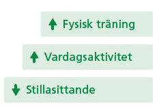 Hur ska vi arbeta med Fysisk aktivitet?