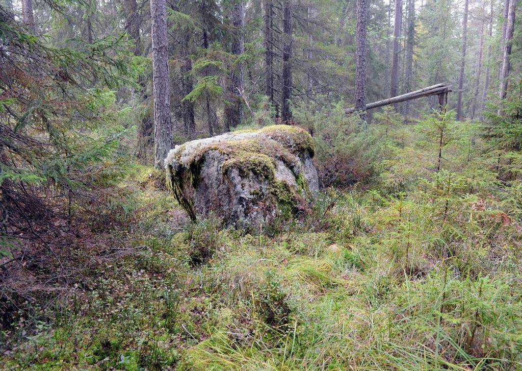 Kontrollpunkt 83 dagen före tävlingen och det här var en