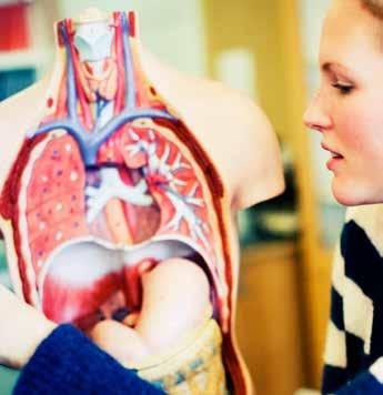 Gymnasiala teoretiska kurser Gymnasiekurser på komvux motsvarar gymnasieskolans kurser, vilket kräver att du har kunskaper motsvarande grundläggande nivå innan du kan söka gymnasiala kurser.
