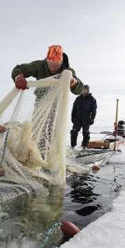 undantagsfall bevilja tillstånd att bedriva kommersiellt fiske förbi ägaren Fyra villkor ska uppfyllas: 1) Vattenområdet har definierats som lämpligt för kommersiellt fiske i NVP 2) Fiskbestånden är