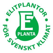 Med kontrollerade moderplantor som utgångspunkt har svenska plantskolor anlagt plantager där de företag som producerar fruktträd varje år köper ymp- och